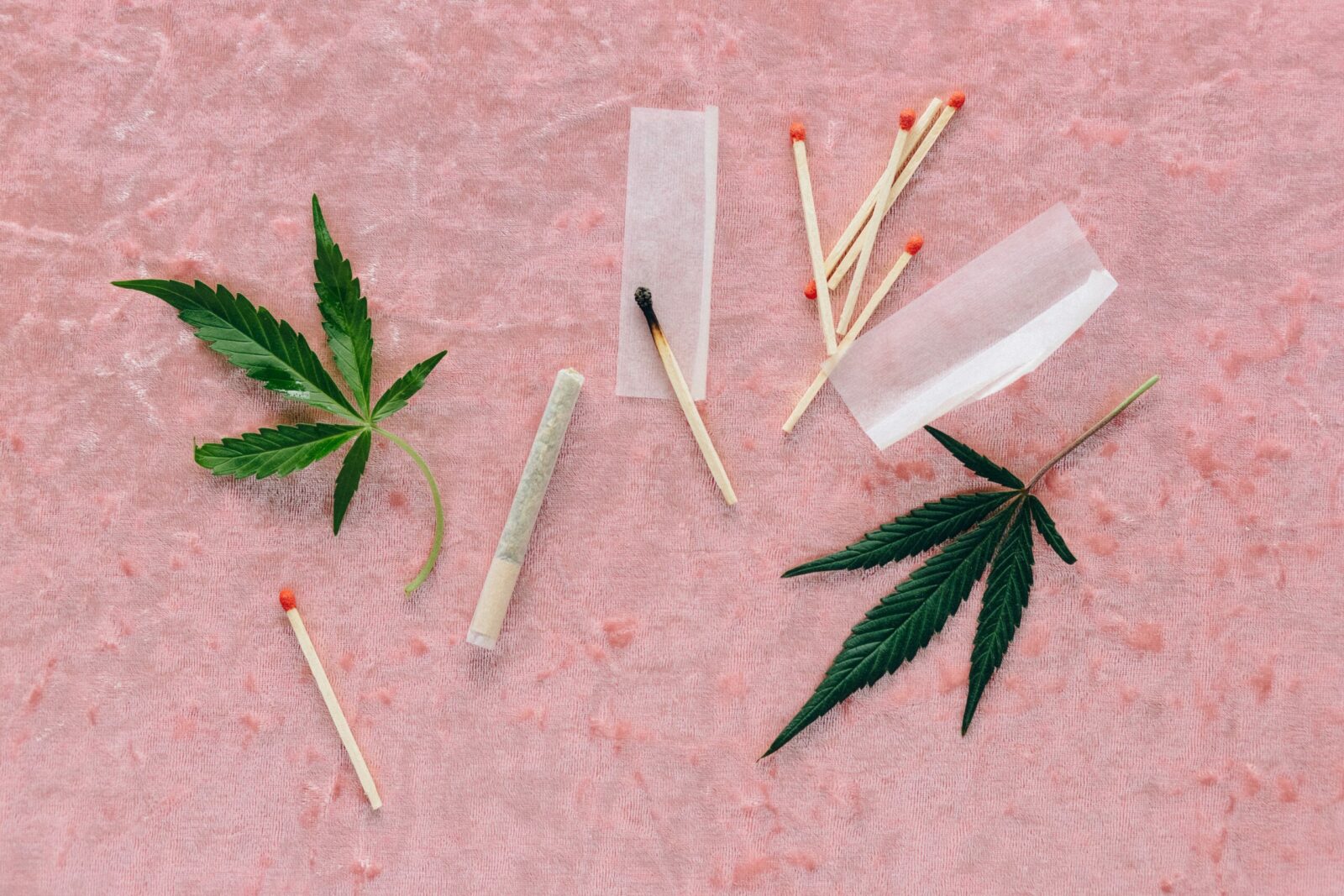 How to Roll a Perfect Joint: Tips and Tricks from the Pros